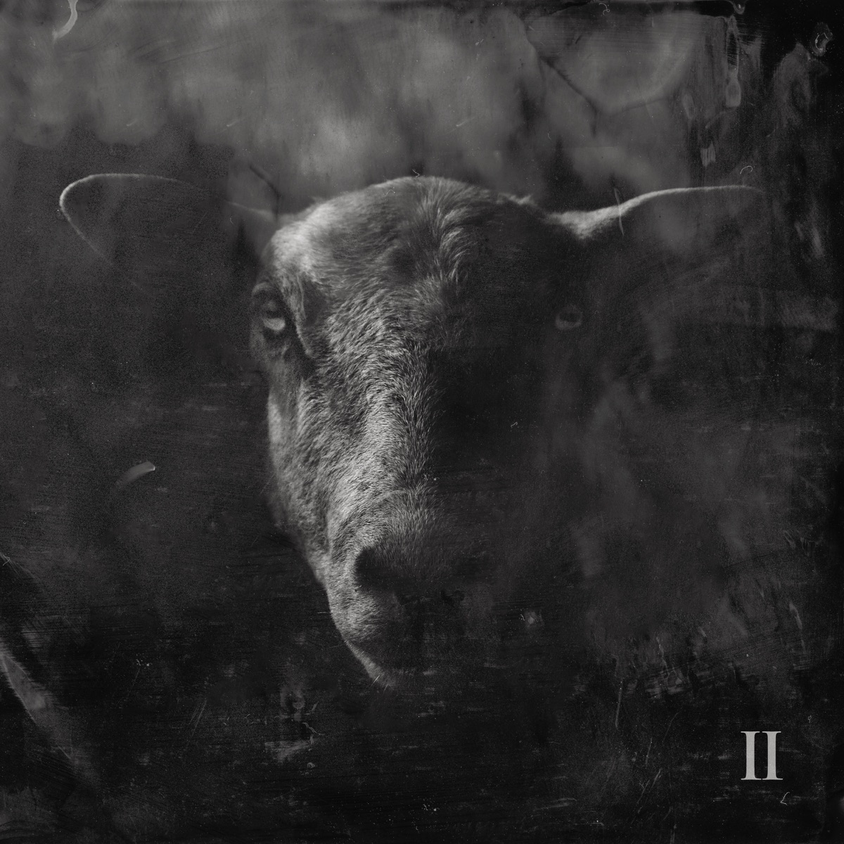 Black Sheep II - Ben Fuller, KB