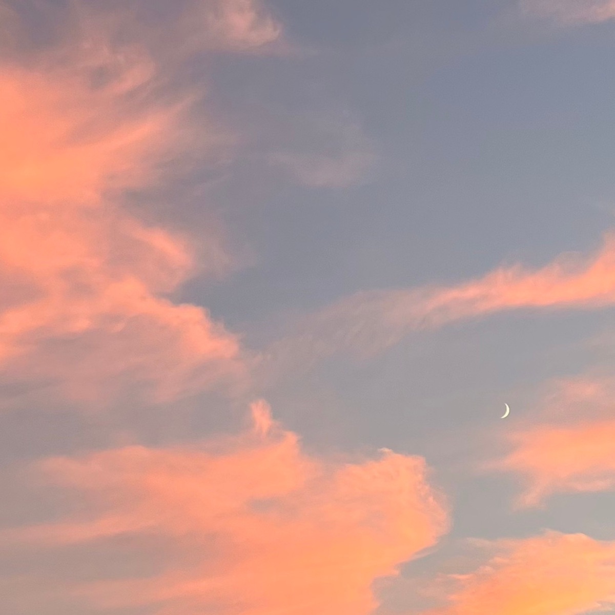 Think Of You - lydi lynn